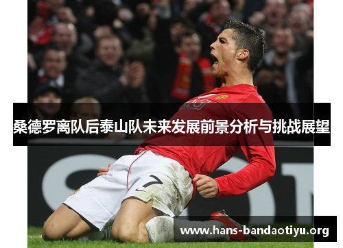 桑德罗离队后泰山队未来发展前景分析与挑战展望
