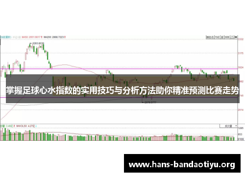 掌握足球心水指数的实用技巧与分析方法助你精准预测比赛走势