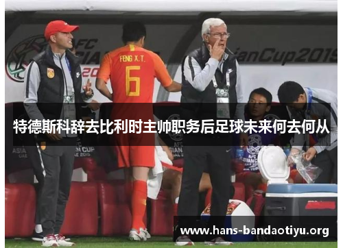 特德斯科辞去比利时主帅职务后足球未来何去何从